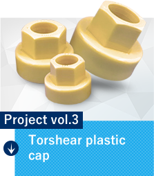 Project vol.3 Torsia resin cap