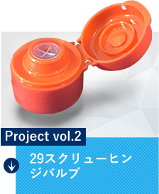 Project vol.2 29スクリューヒンジバルブ