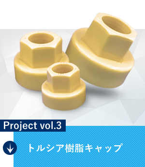Project vol.3 トルシア樹脂キャップ