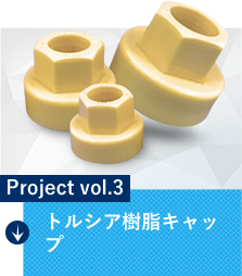 Project vol.3 トルシア樹脂キャップ